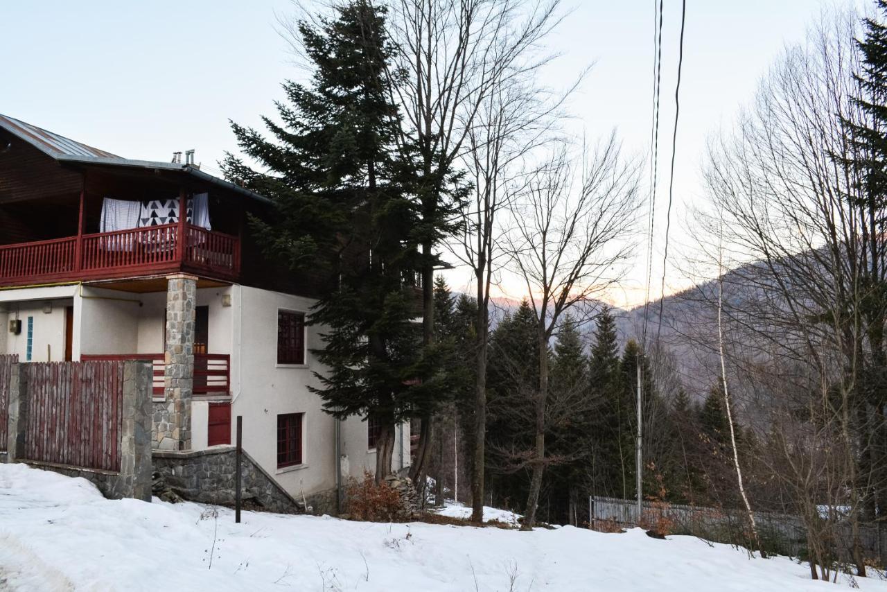 Grandpa'S Hidden Crib, 6 Bedroom, Pet Friendly Синая Екстериор снимка