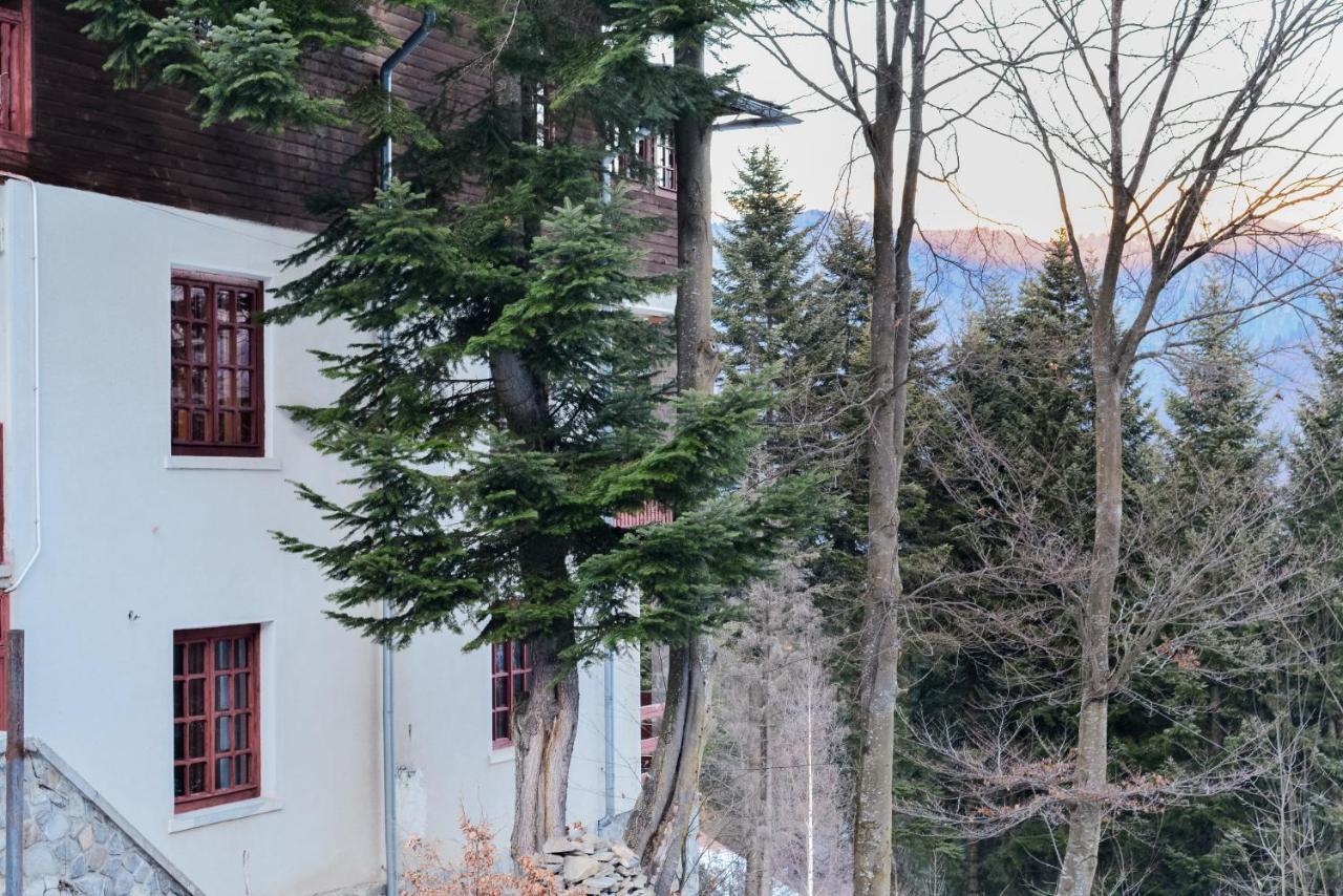 Grandpa'S Hidden Crib, 6 Bedroom, Pet Friendly Синая Екстериор снимка